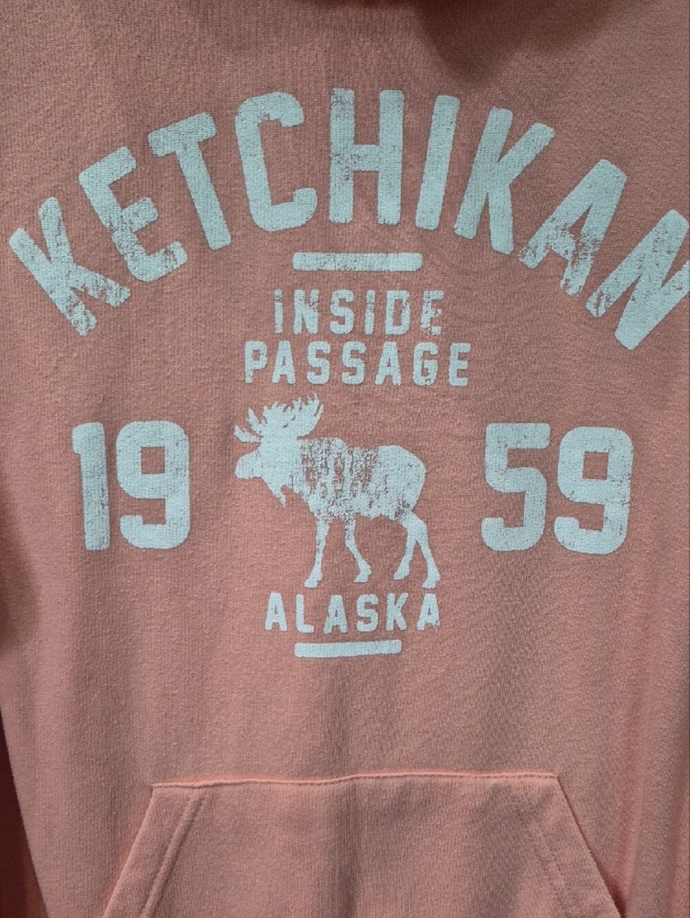 Ketchikan Alaska Moose Graphic Pullover Hoodie Mens L Salmon Pink Cabincore Hike - Picture 3 of 6